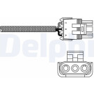 DELPHI Lambdasonde