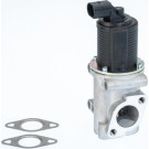 BorgWarner (Wahler) AGR-Ventil 710772D/1