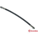 BREMBO Bremsschlauch | T 61 037