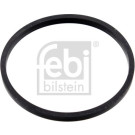 Dichtung, Thermostat | 100055
