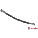 BREMBO Bremsschlauch | T 56 139