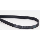 CONTINENTAL CTAM Keilrippenriemen 5PK1230