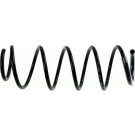 Sachs Fahrwerksfeder Peugeot P. 1007 1.4, 1.4 16V 05 | 998744