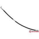 BREMBO Bremsschlauch