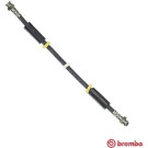BREMBO Bremsschlauch | T 23 016