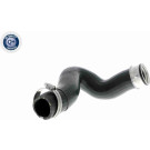 VAICO Ladeluftschlauch V10-2837