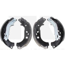 Bremsbacken Fiat Fiorino/Qubo/Nemo/Bipper 08 | 2719758