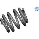 Meyle Fahrwerksfeder Vw T. Audi Tt 98-06 1.8 Turbo/Quattro | 100 739 0003