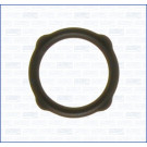 Dichtung, AGR-Ventil | AJU01053400