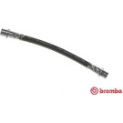 BREMBO Bremsschlauch | T 85 067