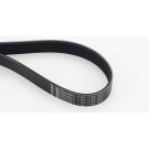 CONTINENTAL CTAM Keilrippenriemen 7PK1165