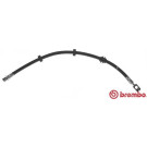 BREMBO Bremsschlauch | T 85 107