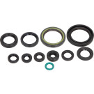Satz Motoröldichtungssatz. Moto. Honda Cre F 250 R 2005-2009 | 666A310SR