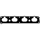 450366P Dichtung, Ansaugkrümmer