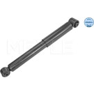 Stoßdämpfer | 36-26 725 0004