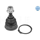 17 303 043 Traggel. VA oben li/re VW Amarok 10 MEYLE-ORIGINAL: True to OE 1160100036 17 303 043 Traggel. VA oben li/re VW Amarok 10 MEYLE-ORIGINAL: True to OE 1160100036