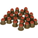 12-35172-02 Dichtungssatz, Ventilschaft