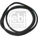 FEBI BILSTEIN Dichtung, Windschutzscheibe | 02789