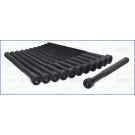 Zylinderkopfschraubensatz | 81039000