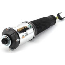 AS-2562 Luftfederbein