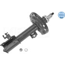 Stoßdämpfer | 6266230006