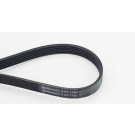 Continental CTAM Rillenriemen 6PK1780