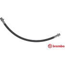 BREMBO Bremsschlauch | T 78 024