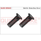 Schraube, Bremsscheibe | 11675K