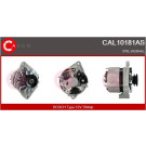 CASCO Generator CAL10181AS