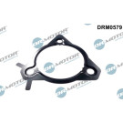 Dichtung, Einspritzpumpe | DRM0579