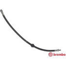 BREMBO Bremsschlauch | T 11 015