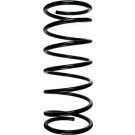 SPIDAN Fahrwerksfeder 49421