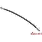 BREMBO Bremsschlauch | T 59 085