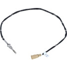 Sensor, Abgastemperatur | 707030