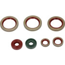 Satz Motoröldichtungssatz. Moto. Ktm Duke / R / Schwarz/Weiss 690 2007-2010 (8El.) | 731A131SR