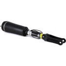 ARNOTT Fahrwerksfeder AS-2394