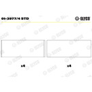 PLEUELLAGER | 01-3977/4 STD