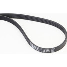 Keilrippenriemen | 5PK1441