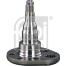 FEBI BILSTEIN Achsstift | 18348