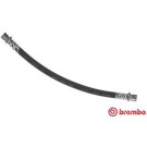 BREMBO Bremsschlauch | T 11 012