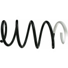 Sachs Fahrwerksfeder Renault P. Kangoo 1.6 08 | 993596