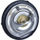Thermostat, Kühlmittel | 352317100640