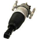 11-0795 Luftfederbein