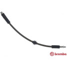 BREMBO Bremsschlauch | T 24 145