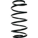 SPIDAN Fahrwerksfeder 48520