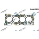 DRM13202 Dichtung, Zylinderkopf