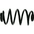 Sachs Fahrwerksfeder Renault T. Clio Iii 1.2/1.4/1.6/1.5Dci 05 | 994 168