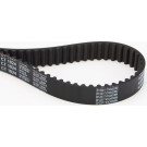Zahnriemen | CT1024
