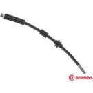 BREMBO Bremsschlauch | T 23 181
