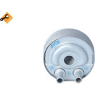 Ölkühler, Motor“L EASY FIT 31184